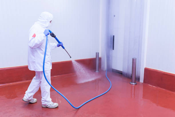 Trusted Liberty Corner, NJ Pressure Washing Services Experts